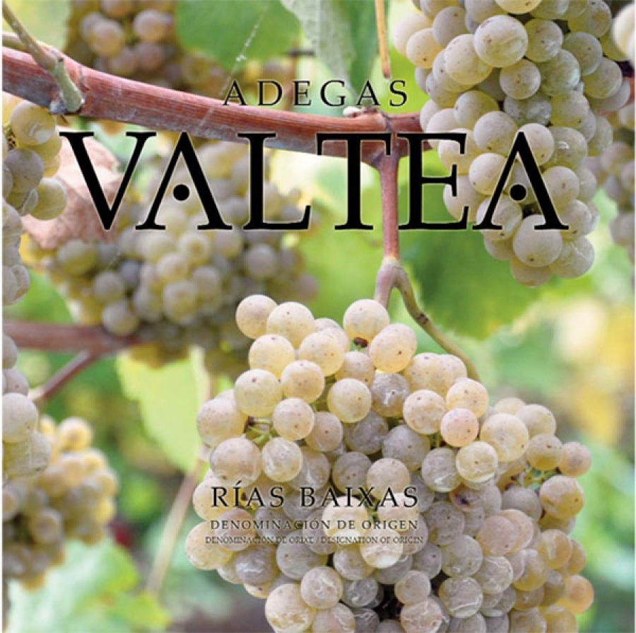 Albariño-Weine aus dem Weingut Valtea