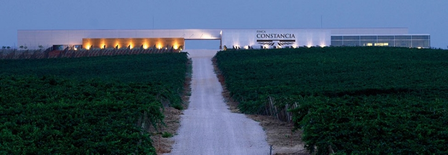 Toledo-Weine vom Weingut Finca Constancia