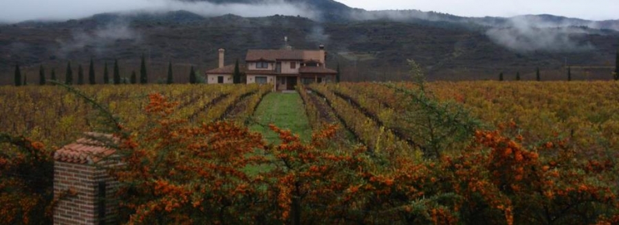 Rioja-Weine vom Weingut Juan Carlos Sancha