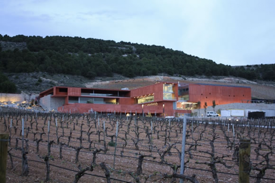 Ribera del Duero Wein vom Weingut Tomas Postigo