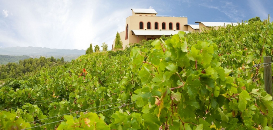 Priorat Rotweine aus dem Weingut Viñedos del Cal Grau