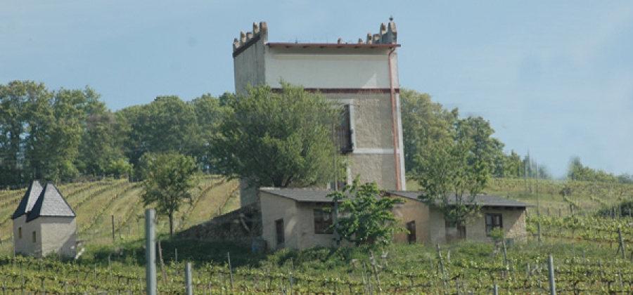 Bierzo-Weine vom Weingut Quinta del Obispo