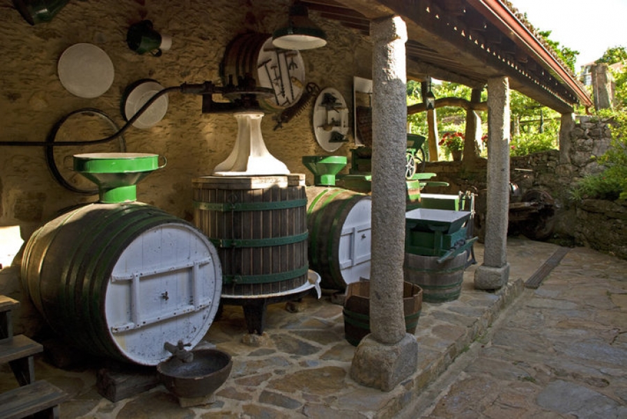 Albariño Wein vom Weingut Santiago Ruiz